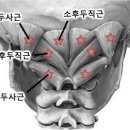 두정한의원 이미지