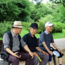 산책길-1 이미지