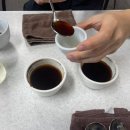 커핑 바리스타 이미지
