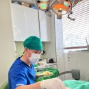 보스톤가족치과의원 이미지