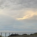 부촌갈비집 | 언로그 : 제주 한 달 살기 #5. 마지막