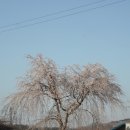 호선농장 이미지