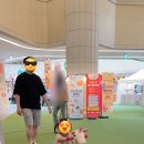 어뮤즈 코인노래연습장 이미지