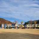 지품초등학교병설유치원 이미지