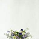 어스디자인스튜디오 이미지