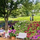 다온숲어린이집 이미지