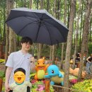 (주)미래포레스트 | 포켓몬 시크릿 포레스트 서울숲 아이들과 함께 후기