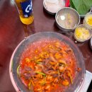 쭈꾸미도사 이미지