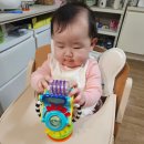 쎄씨 | 8개월9개월아기장난감 추천, 식사시간 첫 흡착놀이 쎄씨바다친구흡착장난감 후기