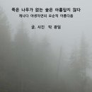 연재 : 탁광일의 숲이야기(1회)/숲속의 유리공 (3월출판예정:범우사) 이미지