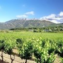 교환114공인중개사사무소 이미지