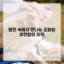 경남합기도