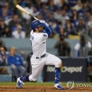 돈테일러 이미지