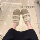 어그 시어링 슬리퍼 사이즈 호주 DK 신상 뮬 후기