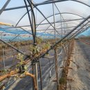 느림보농장 이미지