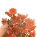 방배결혼정보 이미지