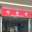 대학복사 | 자궁경부암 조직검사 결과 CIN3 상피내암 진단 후기