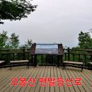 오봉산 맨발 등산로 이미지