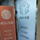 예쁠리 이미지
