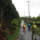 서호동-16 이미지