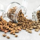 원주더봄동물의료센터 이미지