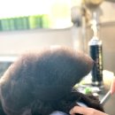 탑시저링 | 청주 애견미용학원 내돈 내산 실제로 다녀 본 후기