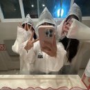 똥꼬발랄 이미지