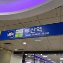 유원모텔 | 작년 11월 일본 여행에서 돈없어서 사지 못했던 니플러 인형이 아직도 아른거려서 부산에서 홍대 해리...