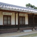 상록수