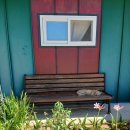 달봉이민박 이미지