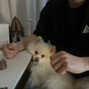 미현목장 이미지