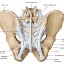 로안한의원 이미지