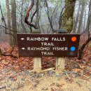 NC 주립공원 Gorges state park 이미지