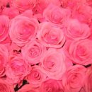 순흥초등학교 이미지