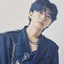 별빛같은 나의 사랑아 ㅡ song by 임영웅 이미지