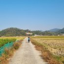 대곡농로 이미지