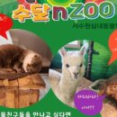 금곡 시네마 오락실 이미지