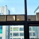 국관장체육관 이미지