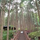 작은나무숲 이미지