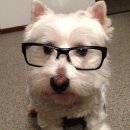 더나이스뷰(THE NICE VIEW) | 🇹🇭 치앙마이 2주살기 8 | 일요일 하루코스 총정리 (선데이마켓, 찡짜이마켓, 넹무옵옹)