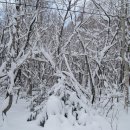 비로소, 겨울 하늘 | [백두대간]—태백산(太白山) 겨울 눈산행(2)