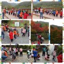 리틀비전어린이집 이미지