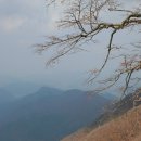 빤쯔