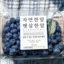 한알애 이미지