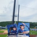 원정세탁소 | 6월 3일 삼성 라이온즈파크 원정응원석 후기 🦁vs🦖