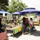 달빛가득 이미지