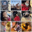 이디야인천강화점 | 일기 (69) :: D+323~329 역대급 공포의 이앓이🦷│강화 교동도 나들이│지긋지긋한 코감기│어린이집에서...
