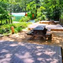 화왕산자연휴양림 이미지