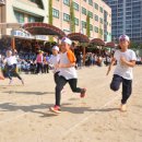 안청초등학교 이미지