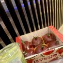 능금 | 대구 수형당 능금빵 후기 동대구역 들린다면 선물하기 너무 좋은 빵